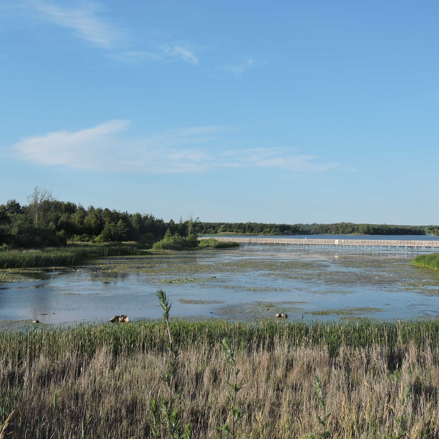 low water levels at Island Lake